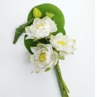 ราคา ช่อดอกบัวหลวงสีขาว (ขนาดเล็ก) งานหัตถกรรมบางไทร แฮนด์เมค แพค 1 กำ (985700387)