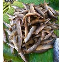 ราคา ปลาหลดตากแห้ง สะอาด สดใหม่ หอม อร่อย เก็บได้นาน ปลาหลดแห้ง (21081730312)