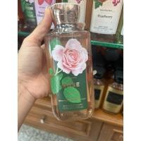 ราคา Bath & Body Works Rose shower gel 295ml. (40623024111)