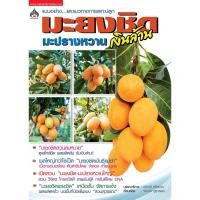 ราคา หนังสือเกษตร​ มะยงชิด& มะปรางหวาน เงินล้าน(จาก130ลดเหลือ 98) (1214629976)