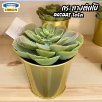 ราคา กระถางต้นไม้ สีทองเหลือง DAIDAI ไดได (19985990387)