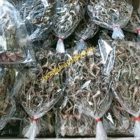 ราคา เขียดตากแห้งใหม่สะอาด (16996666143)