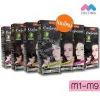 ราคา สีย้อมผม ครีมปิดผมขาว โลแลน คูล แอนด์ อีซี่ คัลเลอร์ครีม Lolane Cool & Easy Color Cream (5228865457)