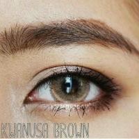 ราคา Kwanusa brown (274511703)