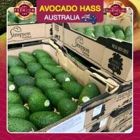 ราคา อะโวคาโด อะโวคาโด้ จำนวน 6 ลูก อะโวคาโดสด อโวคาโด้ อโวคาโด นำเข้า AVOCADO HASS AUSTRALIA ผลไม้สด (11506229957)