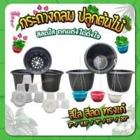ราคา กระถางต้นไม้ กระถางปลูกแคคตัส "แบบกลม" กระถางต้นไม้พลาสติก ขนาด 7 / 9 / 15 นิ้ว (14714893368)