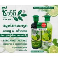 ราคา ชีววิถี แชมพูสมุนไพรมะกรูด + ครีมนวดผมสมุนไพรมะกรูด (6740137141)
