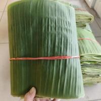 ราคา (พร้อมส่ง) ใบตอง ใบตองกล้วยน้ำว้า 1 กิโลกรัม ใช้สำหรับทำกระทง บายศรี (22260720064)