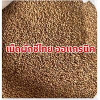 ราคา Qinna ซื้อ1เเถม1 เม็ดผักชี เม็ดผักชีไทย เม็ดผักชี เมล็ดผักชี เมล็ดผักชีไทย Coriander seeds ผักชี ผักชี ผักชี เม็ดผักชี (29386169291)