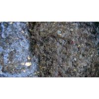 ราคา พระเปิมกรุวัดมหาวันลำพูน(มีภาพขยายดูเนื้อพระ1,000x) (6999381692)