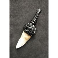 ราคา เขี้ยวหมูป่าตัน หลวงพ่อนุ่ม วัดนางใน อ่างทอง พร้อมคาถา (12507412697)