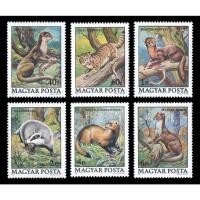 ราคา H097 แสตมป์ฮังการียังไม่ได้ใช้ ชุด Protected Animals สัตว์สงวน ปี 1979 ยังไม่ได้ใช้ สภาพดี จำนวน 6 ดวง ครบชุด (12003250055)