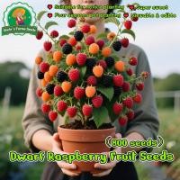 ราคา 800เมล็ด Raspberry Seeds Plants Fruit Seeds ผลไม้เมืองร้อน เมล็ดพันธุ์ผลไม้ พันธุ์ไม้ผล ต้นไม้ผล เมล็ดผลไม้ ต้นผลไม้ (43023439749)