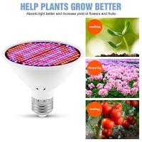 ราคา ไฟ LED สำหรับปลูกพืช ไฟปลูก ไฟปลูกต้นไม้ LED 300LED คุณภาพสูง Grow Light หลอดไฟ E27 Full Spectrum Led Phyto โคมไฟ Growth (18351318229)