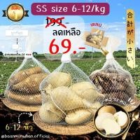 ราคา Oishi-Fresh มันหวานญี่ปุ่น ไซต์ Snackปลูกไทย แบบดิบเนื้อเหลืองนุ่ม หอม หวาน 1 กิโลกรัม จัดส่ง 24 ชม. (22384910544)