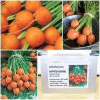 ราคา เมล็ดพันธุ์ แครอทกลม (Parisian Carrot Seed) บรรจุ 400 เมล็ด คุณภาพดี ราคาถูก ของแท้ 100% (2310473346)