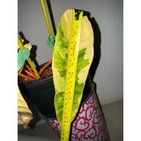ราคา ต้นฟิโลเดนดรอนก้านส้ม (Philodendron billietiae) variegated (17893682218)