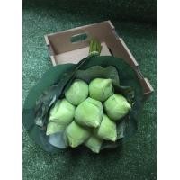 ราคา ดอกบัวสด - ช่อดอกไม้ ดอกไม้ไหว้บูชาพระ ดอกไม้สด (9469734105)