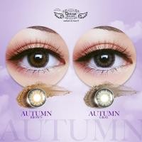 ราคา คอนแทคเลนส์ Dream Color1 Autumn ค่าสายตา 0.00 ถึง -6.00 (2756840076)