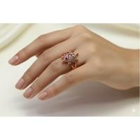 ราคา #แหวนนาคเต่านำโชคพร้อมส่ง (49953574672)