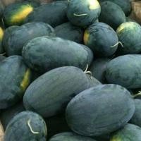 ราคา 10เมล็ด watermelon seeds for planting แตงโมดำ การเก็บเกี่ยว การปลูกแบบได้ผลผลิตเร็ว ฟาร์มครอบครัว High yield (44804531380)