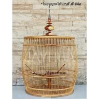 ราคา กรงนกเขาชวาและนกขนาดใกล้เคียง คอนกิ่งไม้ หัวกรงตะขอสแตนเลส ทรงกระถาง ขนาดกลาง (5537413173)