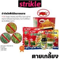 ราคา เข้แดง ตายเกลี้ยง ชุดสยบวัชพืชใบแคบใบกว้าง จัดการหญ้ากระดูกไก่ ผักงวงช้าง ไมยราบยักษ์ตายถึงราก สารช่วยซึมประสิทธิภาพ (46203519689)
