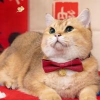 ราคา หูกระต่ายสัตว์เลี้ยง หูกระต่าย ตกแต่งปีใหม่ (42278381852)