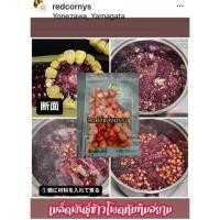 ราคา เมล็ดพันธุ์ข้าวโพดหวานแดงทับทิมสยาม(แบ่งบรรจุ50เมล็ด) (17588583852)