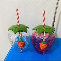 ราคา ขวดน้ําผลไม้สตอเบอรี่พร้อมพวงกุญแจ (28140035728)