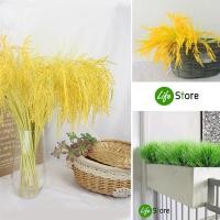 ราคา รวงข้าว และหญ้าประดับ ต้นไม้ประดิษฐ์ สวยงามเสมือนจริง (พร้อมส่งในไทย ถึงเร็วทันใจ) (5271536831)