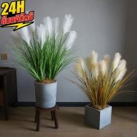 ราคา ต้นอ้อจำลองสีสัน ก้านเดียว ดอกไม้จำลองต้นอ้อ ก้านเดียว (55556250023)