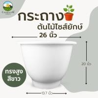 ราคา กระถาง 26 นิ้ว กระถางไซส์ยักษ์ อ่างบัว หนาพิเศษ ทรงสูง (23883258749)