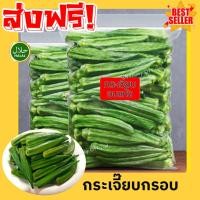 ราคา Q พร้อมส่ง Okra กระเจี๊ยบอบกรอบ กระเจี๊ยบ ผักอบกรอบ กระเจี๊ยบอบกรอบ กระเจี๊ยบเขียว กระเจี๊ยบ ผักอบกรอบ (48102556788)