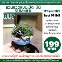 ราคา สวนขวดแก้ว DIY ชุดจัดพร้อมอุปกรณ์ 199 บาท ครบเซ็ท ไซต์มินิ สวนเปิด (23855648572)