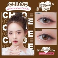 ราคา คอนแทคเลนส์Chloe Brown / Gray (Mayalens) ขนาดกลาง (19317236737)