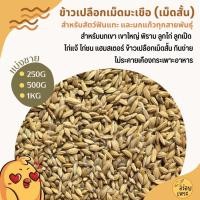 ราคา ข้าวเปลือกเม็ดมะเขือ ข้าวเปลือกเม็ดสั้น อาหารนกเขา นกแก้ว หนูแฮมสเตอร์ ไก่ชน ไก่แจ้ (บรรจุ 250G / 500G / 1KG) (26717077673)
