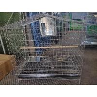 ราคา กรงนกขุนทอง ️ (17357770562)