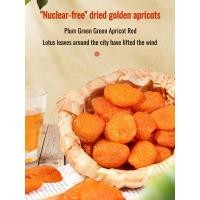 ราคา ผลไม้แห้งบริสุทธิ์และธรรมชาติ แอปริคอตแห้ง ดับแคลต่ํา (อาหาร) ผลไม้หอมและหวาน เนื้อแอปริคอตหลุม ขนมผลไม้แช่อิ่ม แอปริคอตทองแห้ง (51553745396)