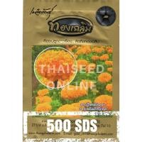 ราคา เมล็ด ใหม่็ด ใหม่ ดาวเรืองตัดดอก ดาวเรืองทองเฉลิม 5012 500 ใหม่็ด Marigold Thongchalerm 5012 500Seeds ใหม่ เพาะ (18887946300)