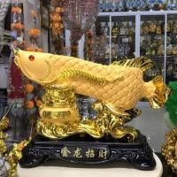 ราคา ปลามังกร ปลามงคลแห่งโชคลาภ และความมั่งคั่ง (6406876598)