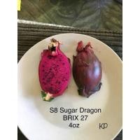 ราคา กิ่งพันธุ์แก้วมังกร s8 (8453481105)