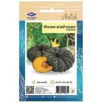 ราคา ฟักทองลายข้าวตอก OP (PUMPKIN) 3 กรัม/g. (28254424643)