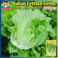 ราคา เมล็ดพันธุ์ ผักกาดหอมอิตาลี Italian Lettuce Seed เมล็ดผักสลัด ผักกาดหอมอิตาเลี่ยน ทนร้อน 500เมล็ด ของแท้100% เมล็ดพันธุ์ (51205655137)
