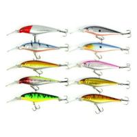 ราคา เหยื่อตกปลา 10ตัว (536366898)