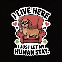 ราคา สติ๊กเกอร์ ติดรถ สติ๊กเกอร์กันน้ำ BOSDM หมา สุนัข I Live Here I just let my Human Stay ดัชชุนด์ DACHSHUND โดเบอร์แมน (29339432413)