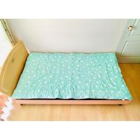 ราคา ที่นอนปิคนิค หรือท๊อปเปอร์ ขนาด 3.5ฟุต สีเขียวพาสเทลลายดาว ยี่ห้อ JAEWOONG (โทนสีหายาก) มือสองขายตามสภาพ สินค้าเกาหลีแท้ (24801078089)