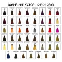 ราคา เบอริน่า A36 สีบลอนด์เข้มประกายทอง สีผม สีย้อมผม เปลี่ยนสีผม ครีมย้อมผม Berina A36 Deep Golden Blonde Hair Color Cream (24272780972)