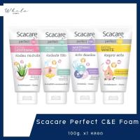 ราคา Whale cosmetic [ 1 หลอด ] Scacare Perfect C&E Foam 100g. (28519998551)