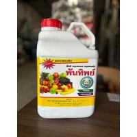 ราคา พันทิพย์ ปุ๋ยเคมี ธาตุอาหารรอง ธาตุอาหารเสริม ขนาด 5 ลิตร (27462521059)
